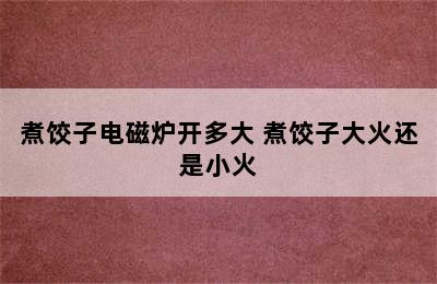 煮饺子电磁炉开多大 煮饺子大火还是小火